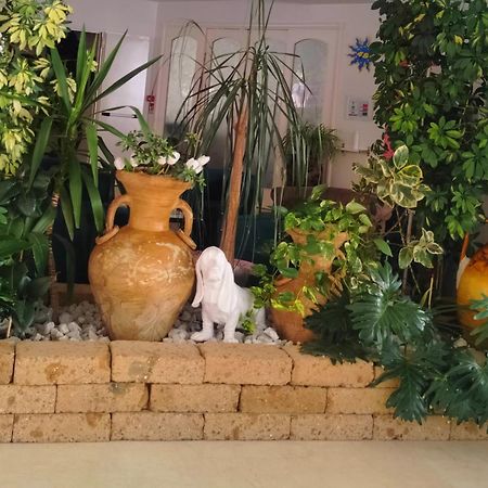 ריצ'יונה Hotel De Amicis מראה חיצוני תמונה