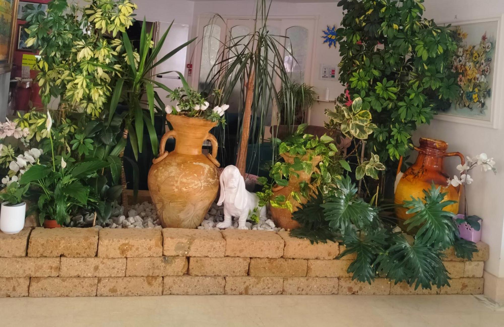 ריצ'יונה Hotel De Amicis מראה חיצוני תמונה